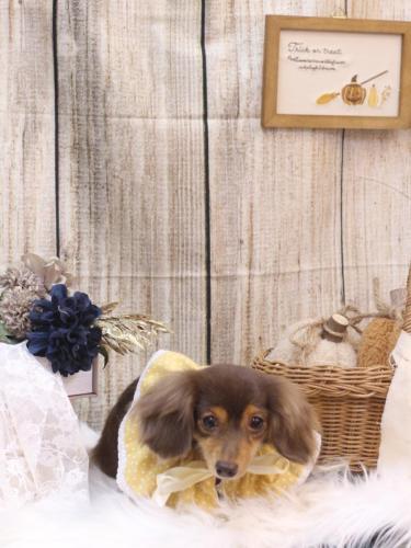 20241009ココちゃん